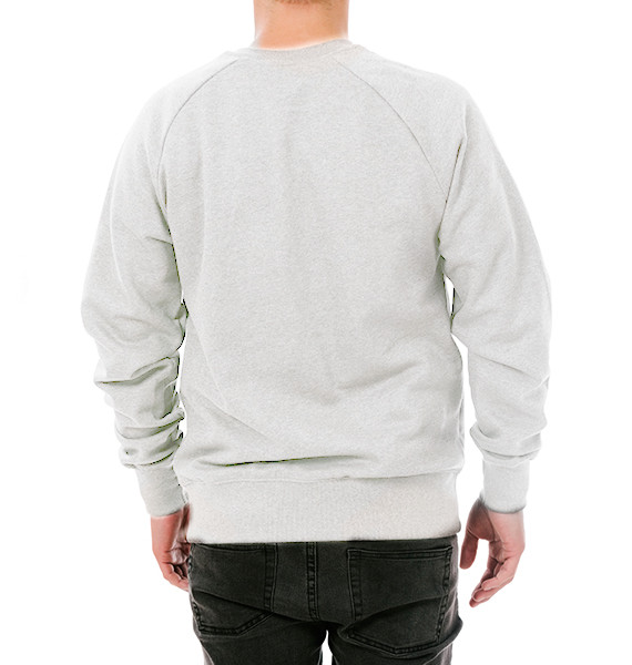 simulacion-web-sudadera-cuello-redondo-hombre-trasera